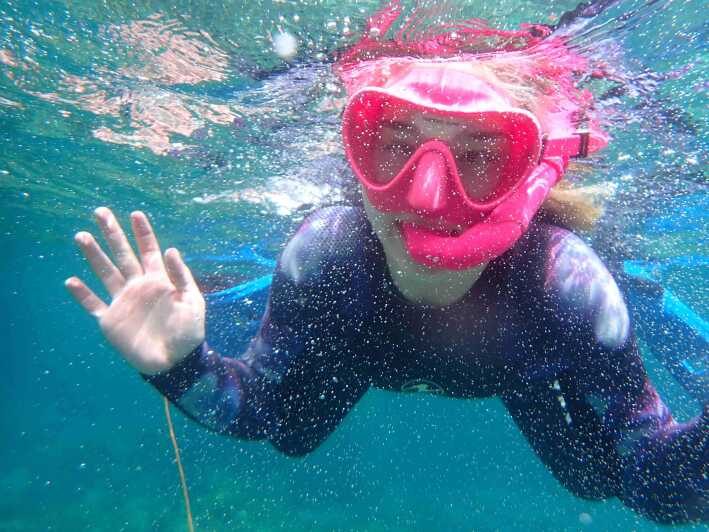 Snorkeling guided tours for tha all family! - A Closer Look at the Itinerary