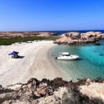 Snorkeling in Daymaniat Island - Practical Tips for Travelers