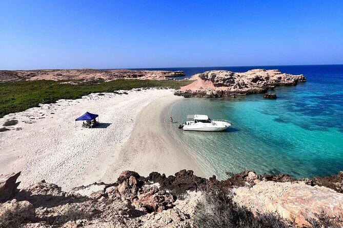 Snorkeling in Daymaniat Island - Practical Tips for Travelers