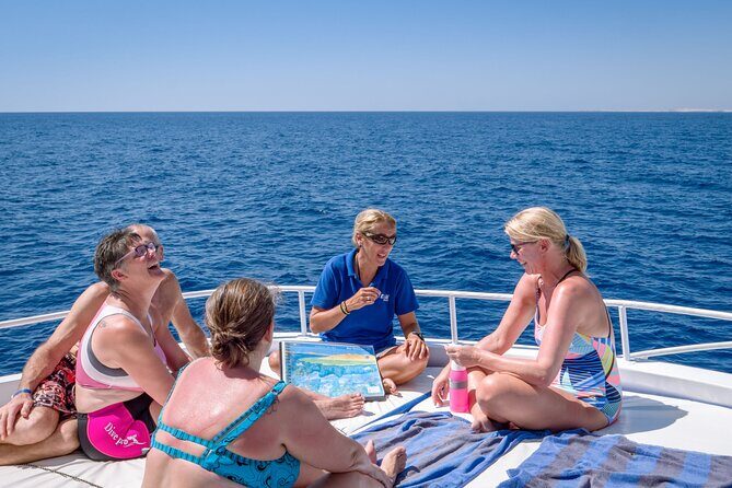 Snorkeling on Ras Mohamed and White Island in Sharm El Sheikh - The Value of This Tour
