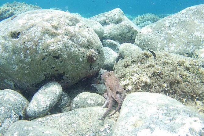 Snorkeling trip - What Travelers Love Most