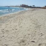 Snorkeling with Turtles - Experience in Abu Dabbab - What We Really Love About This Experience