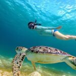 Snorkeling with turtles in Fujairah with BBQ lunch - The Experience From the Travelers Perspective