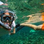 Snorkeling with turtles in Fujairah with Transfer & BBQ lunch - What Makes This Tour Stand Out?