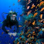 Snorkelling Adventure in Sharm El Luli Beach in Marsa Alam - Final Thoughts