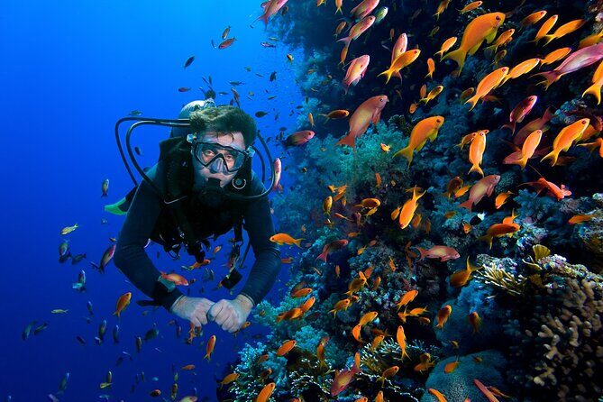 Snorkelling Adventure in Sharm El Luli Beach in Marsa Alam - Final Thoughts