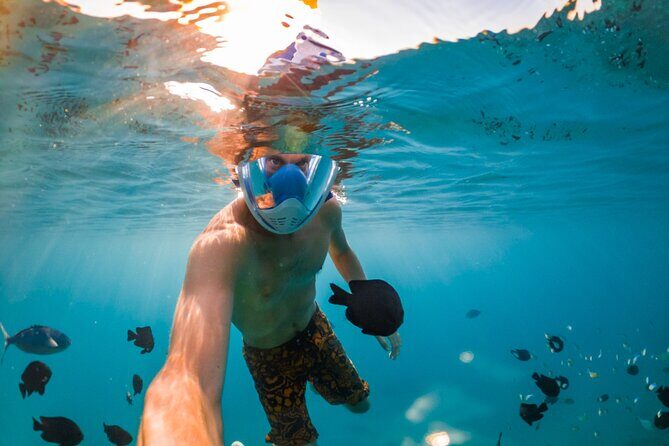 Snorkelling Adventure with Dugongs and Turtles in Marsa Mubarak - Included Amenities and Practical Details