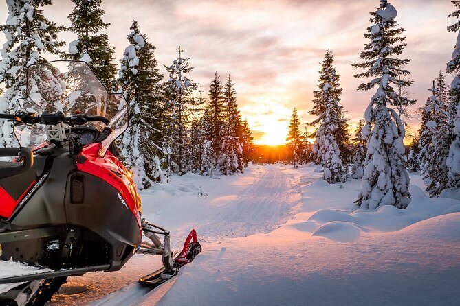 Snowmobile Tours in Rovaniemi Lapland - Final Thoughts