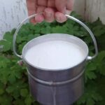 Sofia: Taste Bulgarian Yogurt Kiselo Mlyako in a Family Home - An In-Depth Look at the Tour Experience