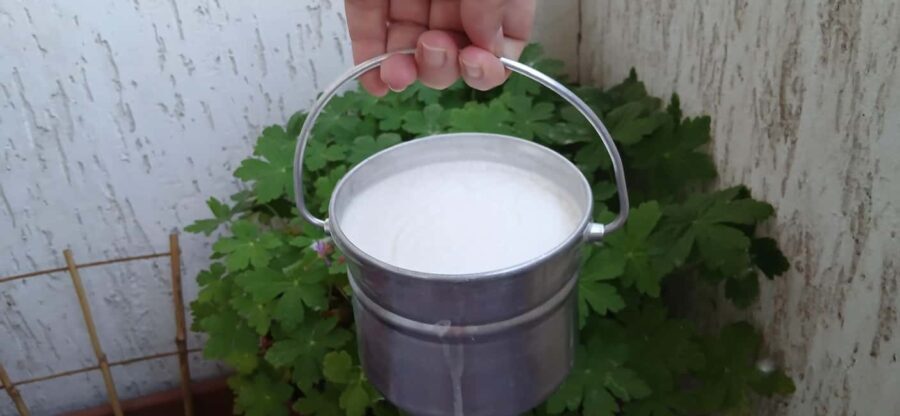 Sofia: Taste Bulgarian Yogurt Kiselo Mlyako in a Family Home - An In-Depth Look at the Tour Experience