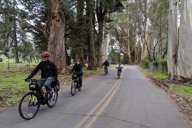 Sonoma Valley Pedal Assist Bike Tour with Lunch - What Sets This Tour Apart