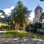 Sorrento Half Day with a local: Art and Flavours - Why This Tour Offers Great Value