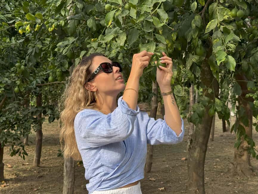 Sorrento: Lemon Tour & Limoncello Spritz Workshop - Practical Details & Value