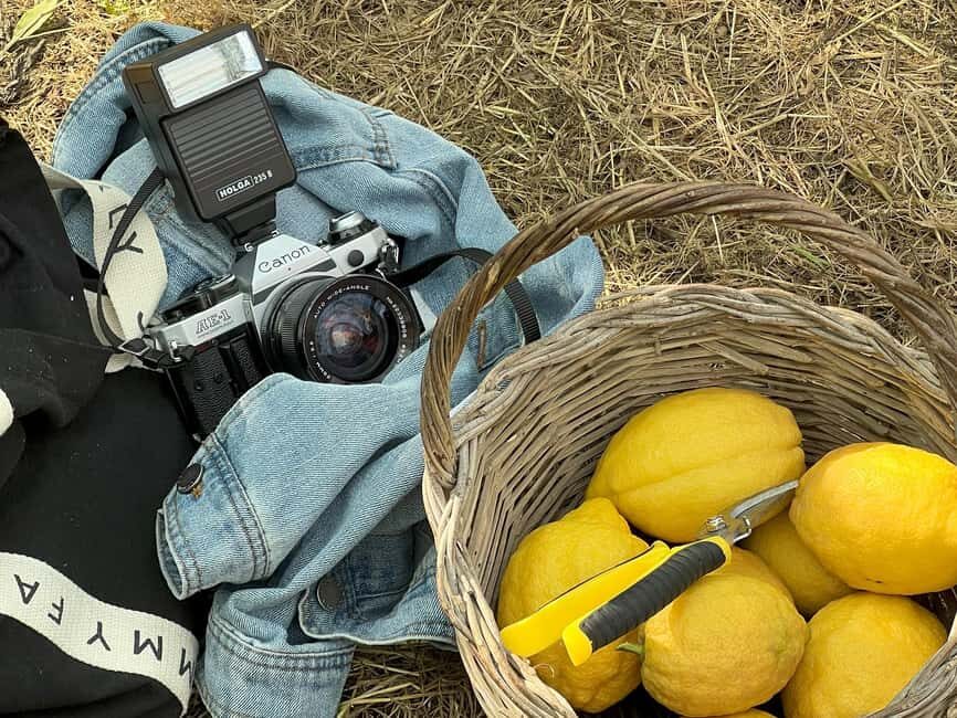 Sorrento: Lemon Tour with Limoncello Tasting - The Itinerary: A Closer Look at What to Expect