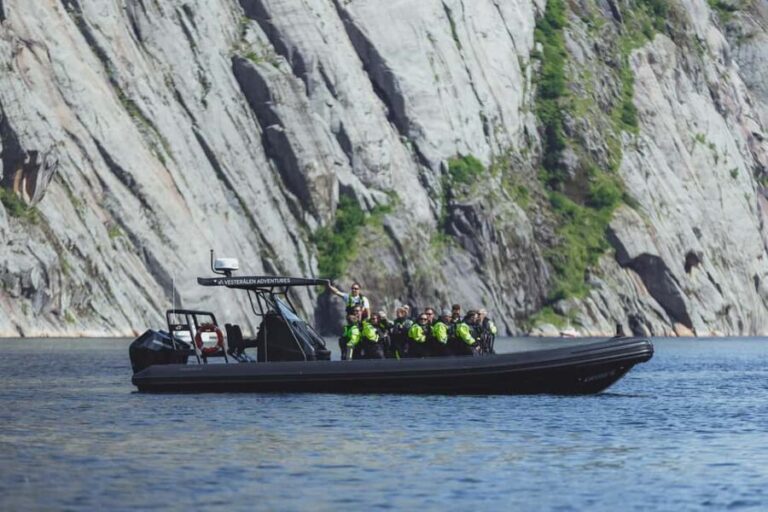 Sortland: Trollfjord RIB Boat Tour - What Is the Trollfjord RIB Boat Tour?
