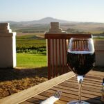 South Africa. Cape Town Best Of Aquila Safari Fullday Tour - Who Is This Tour Best For?