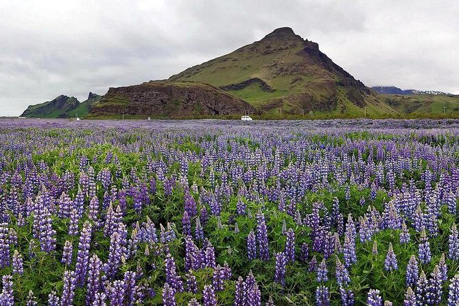 South Coast. Private Day Tour from Reykjavik - Final Thoughts: Is This Tour Right for You?