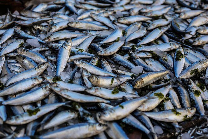 South Gambia Tour - Fishing village and Paradise Beach - Key Points