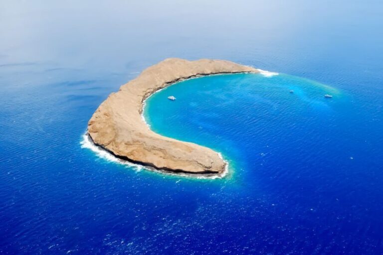 South Maui: Molokini Wild Eco Adventure from Maalaea Harbor - The Itinerary Breakdown