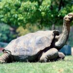 South of Mauritius :Full day package including Chamarel Coloured earth & lunch - The Review from Guests: Authentic Insights