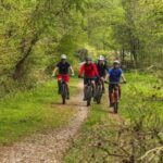 South Wales: Cwmcarn Scenic Drive E-Bike Tour - What You Can Expect on the Day