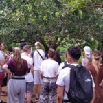 Special for Holland America Line Guests to Zanzibar - Authentic Insights from Past Travelers