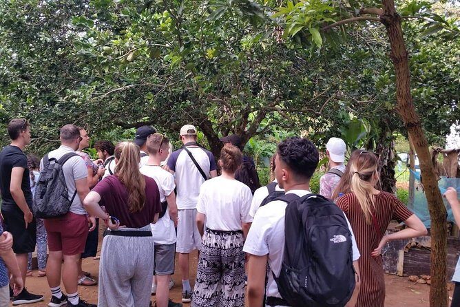 Special for Holland America Line Guests to Zanzibar - Authentic Insights from Past Travelers