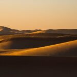 Special Private Arabic Setup with Desert safari experience. - What You Need to Know About the Tour