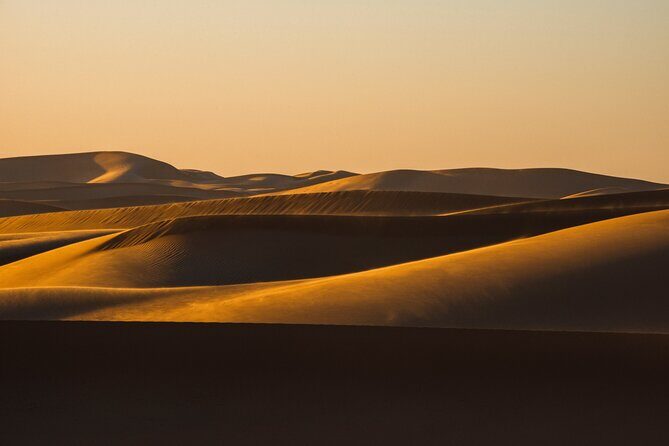 Special Private Arabic Setup with Desert safari experience. - What You Need to Know About the Tour