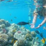Speed Boat Abo Munkar Island & Water Sport Semi Private-Hurghada - FAQ