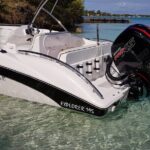 Speed Boat Tour île aux Cerfs and Others Gems of The South - Authentic Experiences & Reviews
