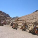 St Catherine Monastery and Mt Sinai Sunrise Tour from Dahab - Authentic Insights from Reviewers
