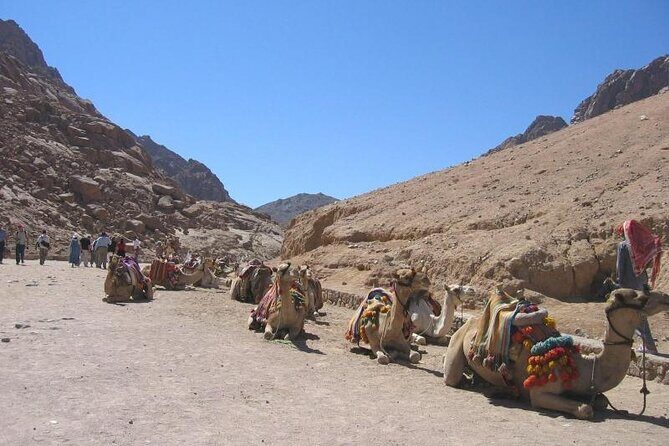 St Catherine Monastery and Mt Sinai Sunrise Tour from Dahab - Authentic Insights from Reviewers