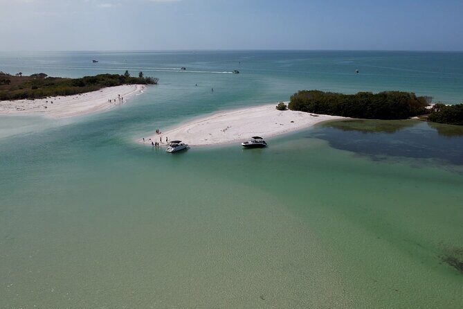 St. Pete Dolphin Watching and Shelling Adventure - Final Thoughts