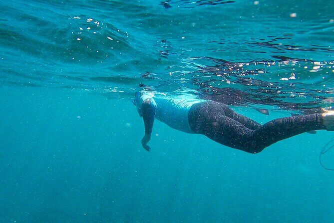 Stand Up Paddle and Snorkeling Tour of Gran Canaria with Transfers south area - Authentic Experiences and Review Highlights