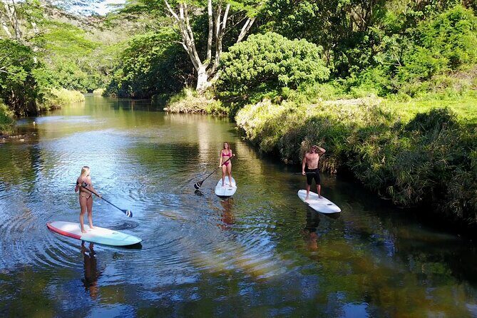 Stand Up Paddle Rental- Wailua River to Secret Falls - Who Will Love This Tour?