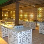 Standard Desert Safari, camel ride, BBQ Dinner, Belly Dance Show, Pick & Drop - Final Thoughts: Is This Desert Safari for You?