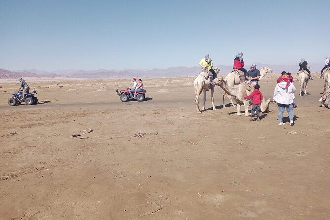 Star Gazing Tour Telescope with Bedouin Dinner, Camel and Show - Sharm El Sheikh - Price and Value