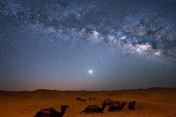 Star Watching and Jeep Safari With Bedouin Dinner & Camel Ride - Hurghada - Authenticity and Group Dynamics