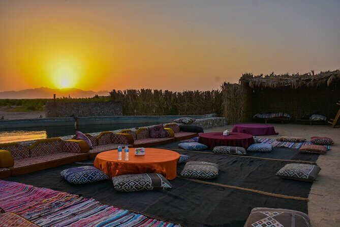 Star Watching in the desert - Authenticity and Experience: What Reviewers Say