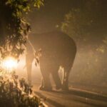 Stargazing and Moonlight Experience - The Practicalities: Logistics and Tips