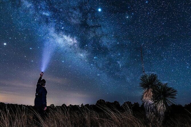Stargazing Desert Jeep Excursion with Dinner in Hurghada - Authenticity and Reviewer Insights