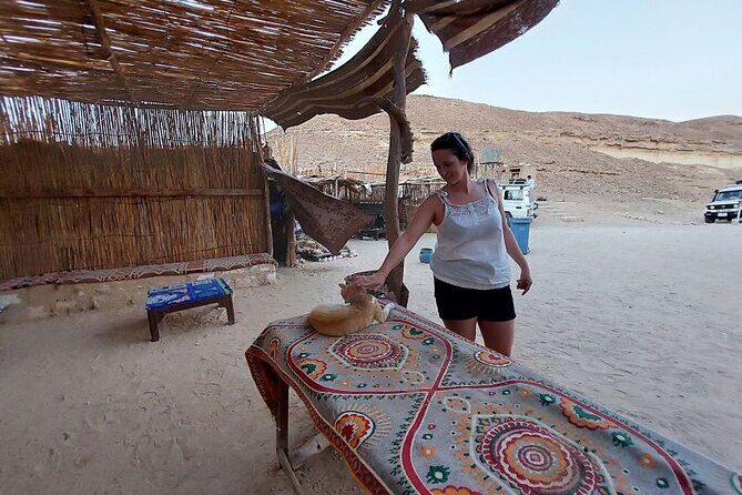 Stargazing in Hurghada Desert with Bedouin Dinner - Who Would Enjoy This Experience?