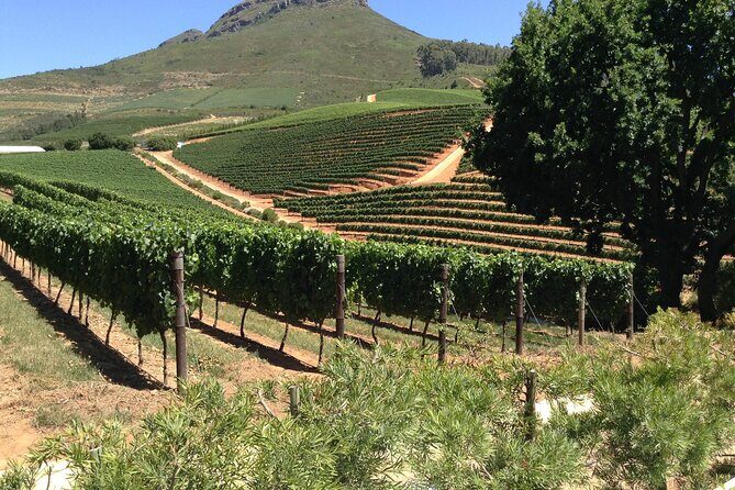 Stellenbosch Franschhoek Full-Day Tour with Cheese Tasting - Practical Tips for Travelers