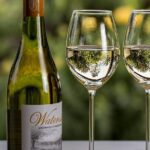 Stellenbosch, Paarl & Franschhoek Private Full Day Wine Tour - What We Appreciate Most About This Tour