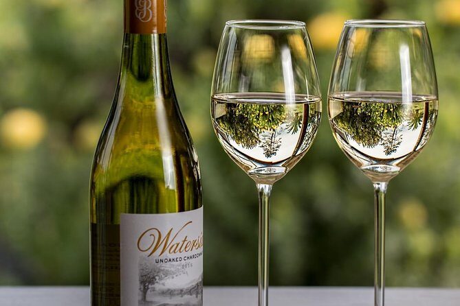 Stellenbosch, Paarl & Franschhoek Private Full Day Wine Tour - What We Appreciate Most About This Tour