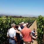 Stellenbosch Valley. Private wine tour with winemaker in Swedish or English. - The Experience in Detail