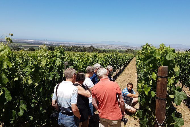 Stellenbosch Valley. Private wine tour with winemaker in Swedish or English. - The Experience in Detail