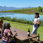 Stellenbosch Winelands Experience - What Makes This Tour Special?