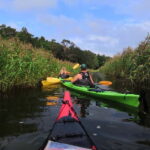 Stockholm Archipelago: Fun-Day Kayaking with Island Lunch - Why This Tour Offers Real Value